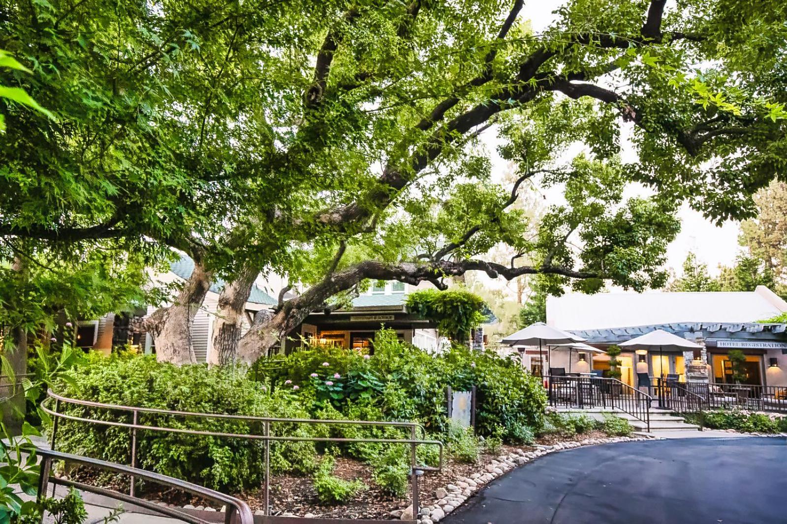 Wine & Roses Hotel Restaurant Spa Lodi Exterior foto